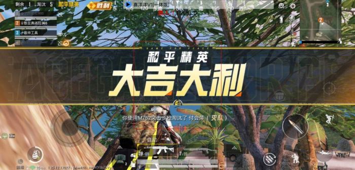 和平精英外免费科技 - 全功能辅助支持模拟器